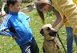 kinder_hund_camp4